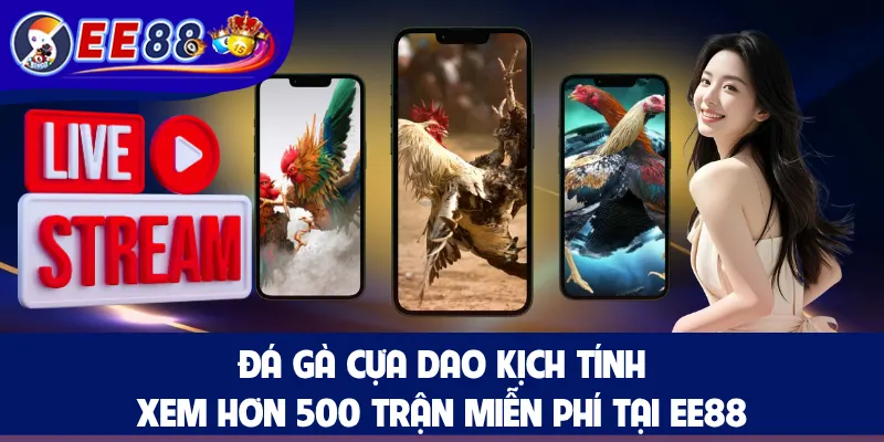 Đá Gà Cựa Dao Kịch Tính, Xem Hơn 500 Trận Miễn Phí Tại EE88