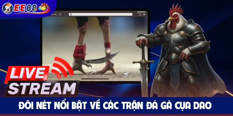 Đôi nét nổi bật về các trận đá gà cựa dao
