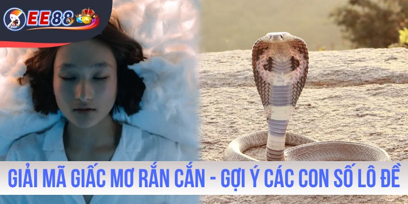 Giải Mã Giấc Mơ Rắn Cắn - Gợi Ý Các Con Số Lô Đề Trúng