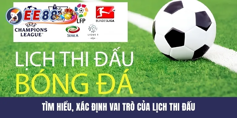 Tìm hiểu, xác định vai trò của lịch thi đấu