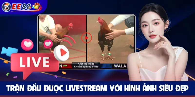 Trận đấu được livestream với hình ảnh siêu đẹp